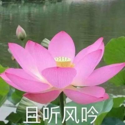 湖北省原副省长曹广晶受贿、泄露内幕信息案一审宣判
